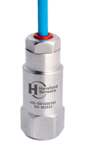 HS 1001000101 new size large scaled