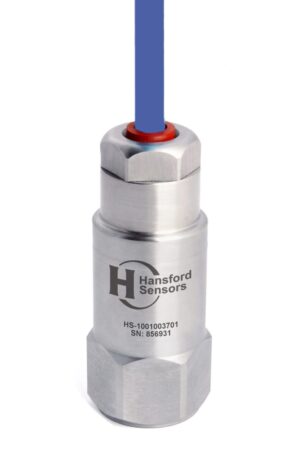 HS 1001003701 scaled