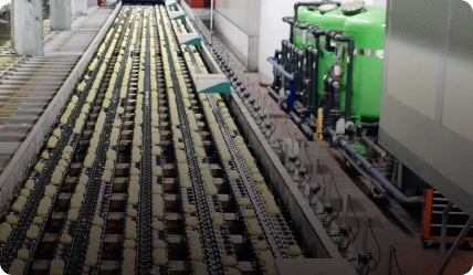 Food and Drink Processing Industry Whitepaper